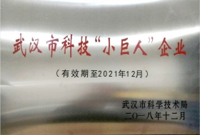 2018年三工激光获得“武汉市科技小巨人企业 ”称号